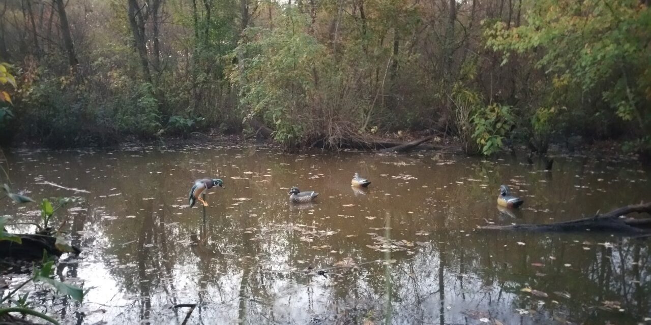 Unleashing the Mojo: Spinning Wood Duck Decoy Review for Ultimate Waterfowl Success, Updated
