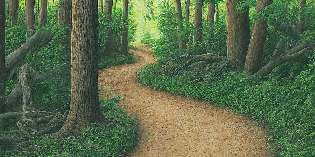Hidden Path – Poem