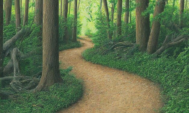Hidden Path – Poem